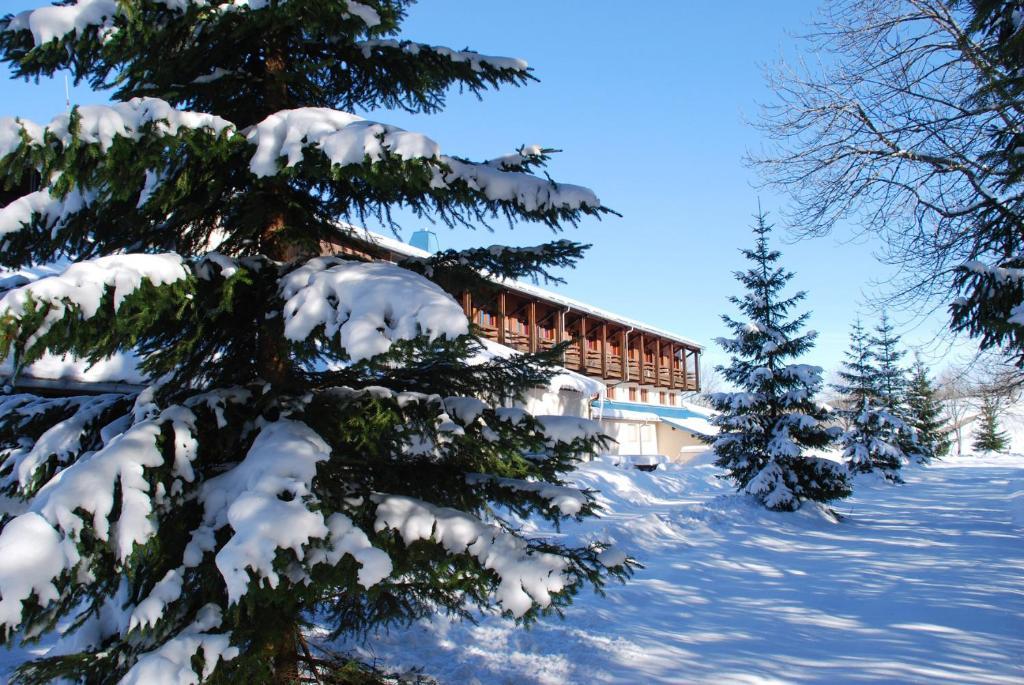 Hotel Le Grand Chalet Foncine-le-Haut Exterior foto